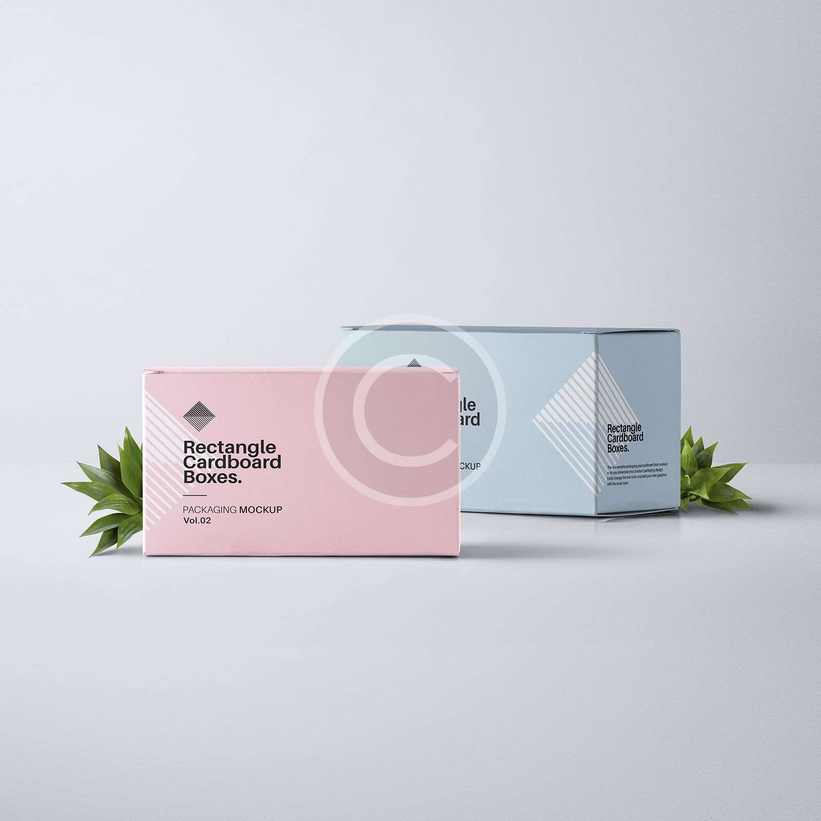 Stylish Cardboard Boxes